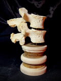 Item 4. Double human vertebrae stand