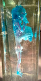Item 1. Diaphonized human fetus