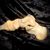 Articulated right foot