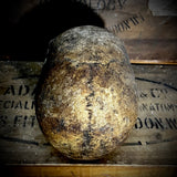 Human skull with mandible