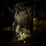 Taxidermy “Duckling in mini coffin”