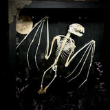 Flying Fruit Bat Skeleton