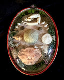 Item 13. Nautical dome frame