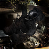 Beastie “Balthazar”