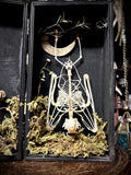 Fruit Bat Skeleton - Curio Box