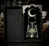 Small Fruit Bat Skeleton box