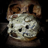 Custom made brass cast skull