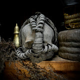 African tribal human skull