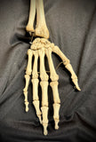 Item 2. Articulated human