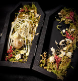 Fruit bat skeleton mini coffin
