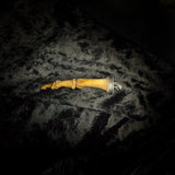 Human Bone “Tooth pick”