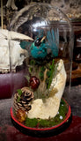 Taxidermy Green Honeycreeper