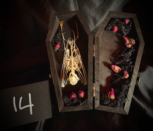 Item 14. Bat coffin