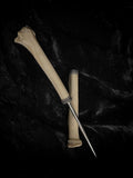 Human Bone - Radius Bone “Letter Opener”