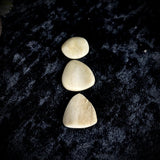 Set of three human femur guitar picks