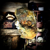 A mummified partial human face