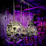 African Tribal Suspended Ancestral Shrine Skulls