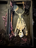 Item 6. Bat skeleton box