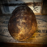 Human skull