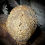 Human skull *COMPETITION*