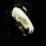 “Mink skull” in a glass dome