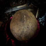 Human skull