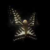 “Tooth Fairy” in a glass dome