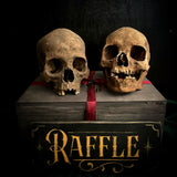 Human skull OR Mystery box
