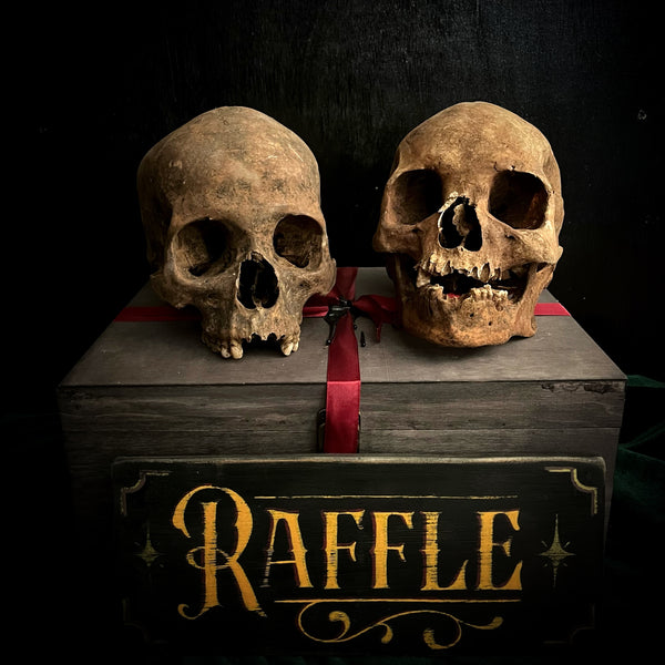 Human skull OR Mystery box