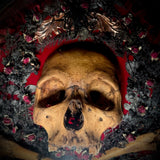 Memento Mori skull & crossbones frame