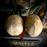 Human skull OR Mystery box