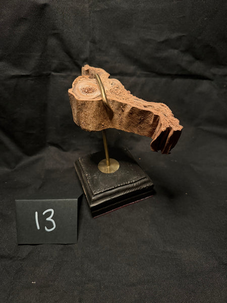 Item 13. Mummified leg slice