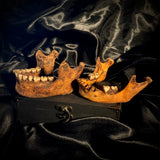 Item 10. Two human mandibles