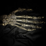 Human Arm - Brass cast