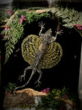 Flying lizard frame