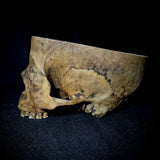 Item 13. Partial human skull