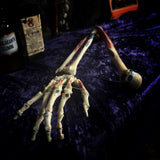 Medically articulated (Right) Human Hand and Arm