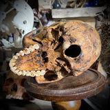 Human skull