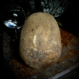 Human skull with mandible