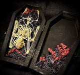 Fruit bat skeleton mini coffin