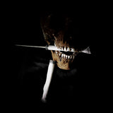 Human Bone - Radius Bone “Letter Opener”