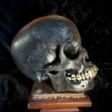 Item 2. Brass tooth skull