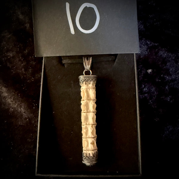 Item 10. Shark spine pendant