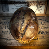 Human skull