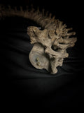 Articulated human spine