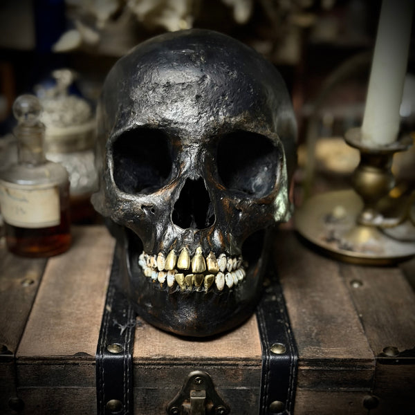 Brass tooth skull