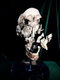 Exploded skull