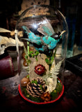 Taxidermy Green Honeycreeper