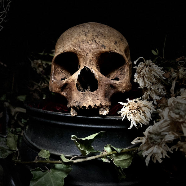 A human skull