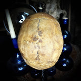A Human skull (with custom made steel stand)